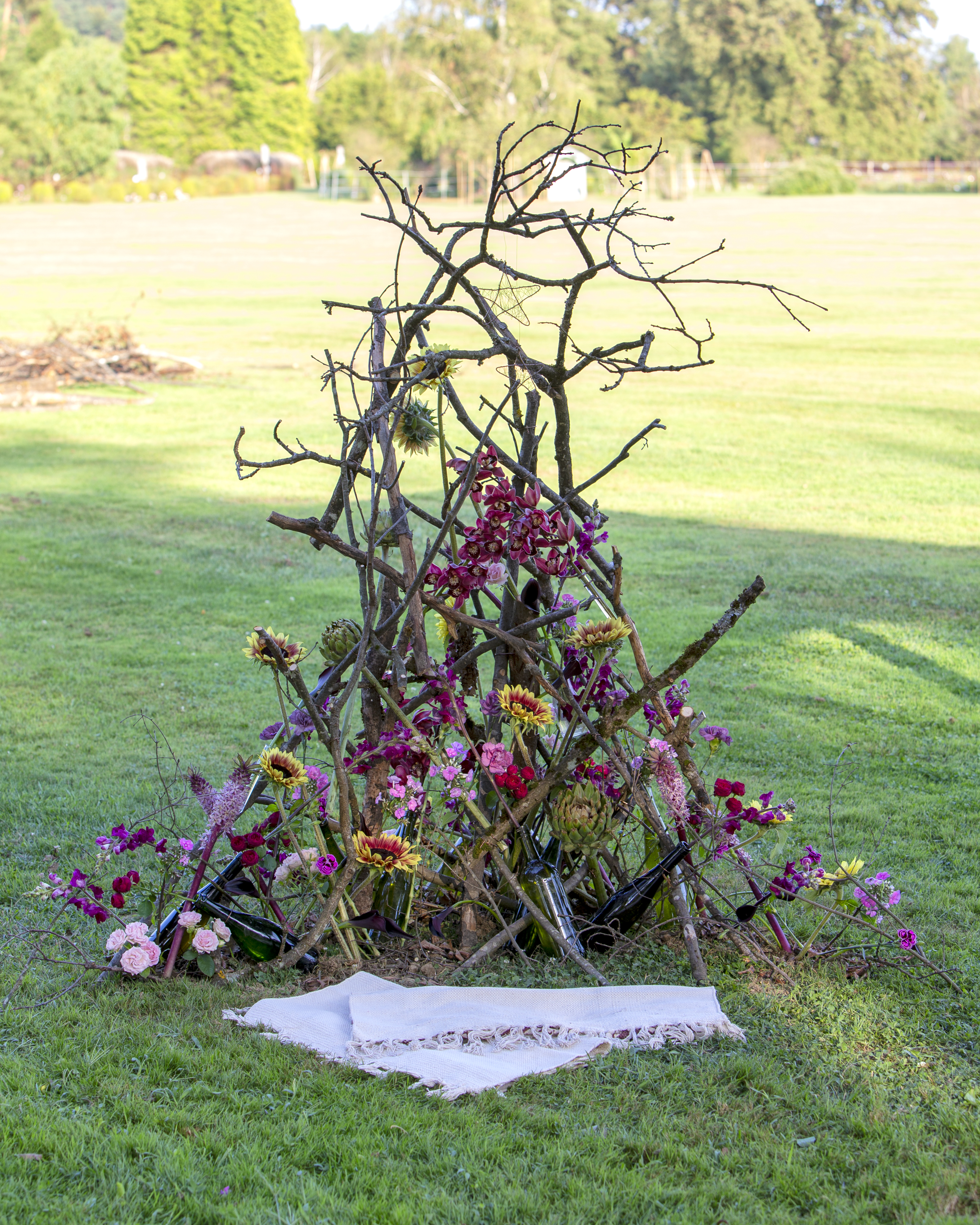 Cymbidium Eurofleurs 2023