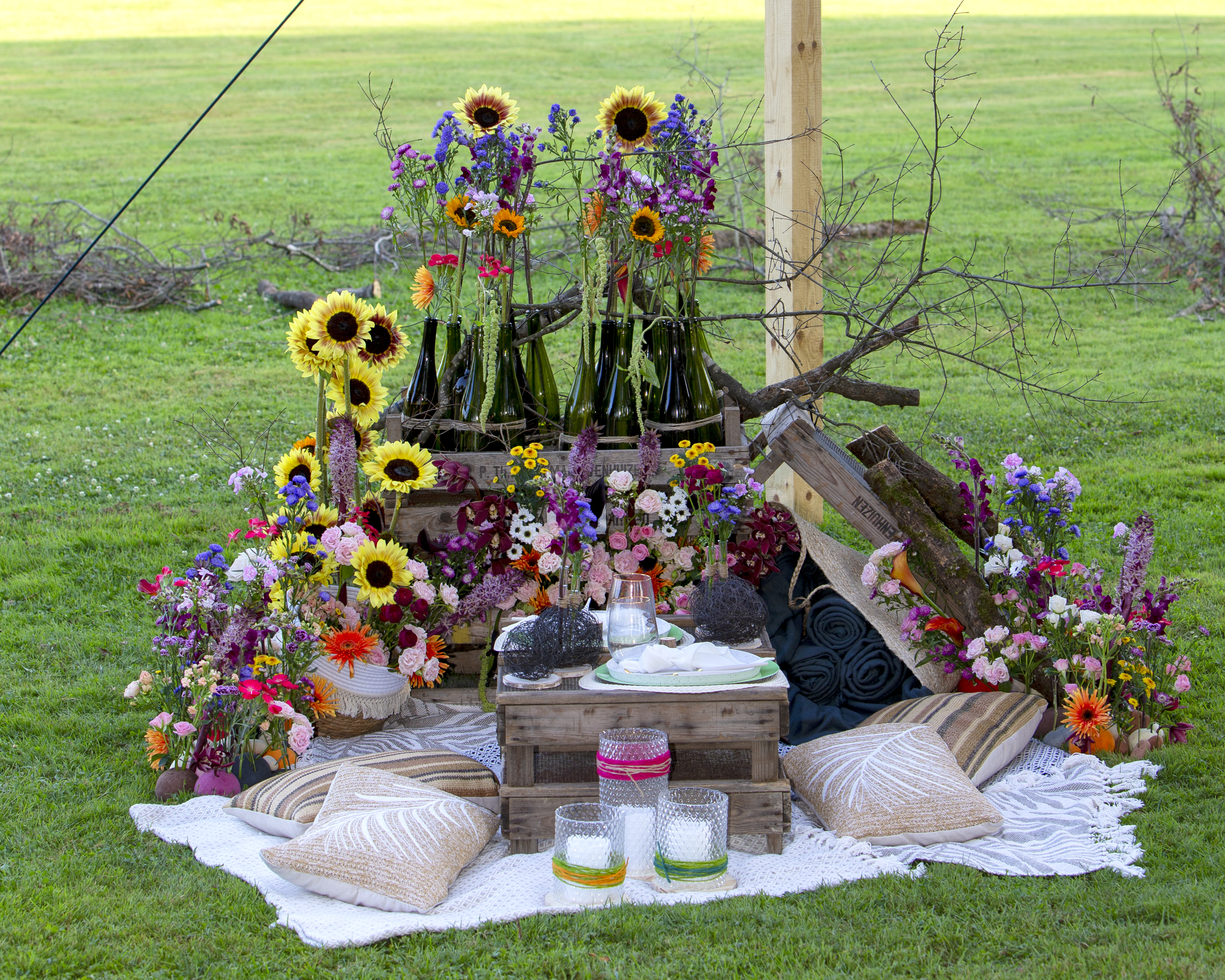 Cymbidium Eurofleurs 2023