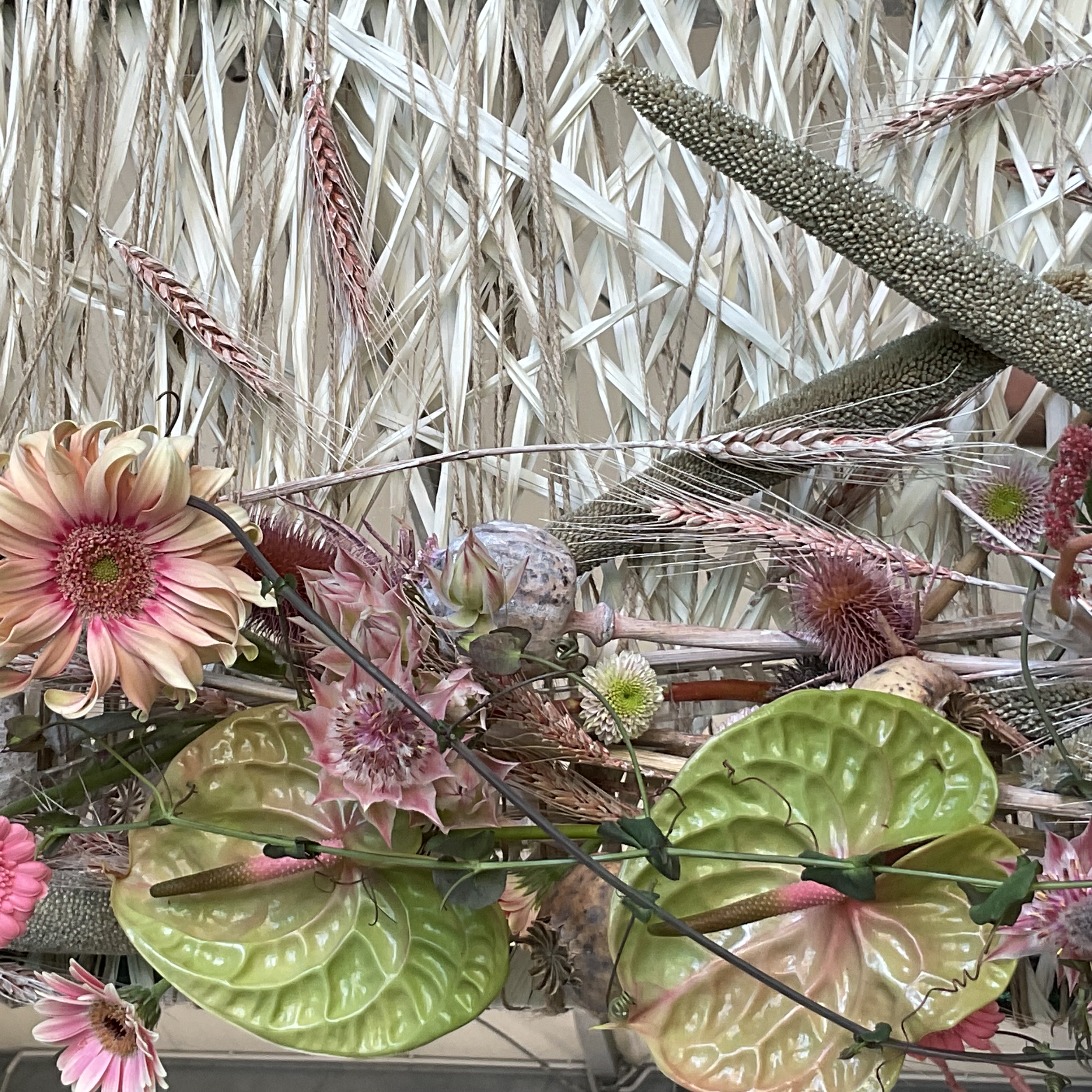 Mazowieckie Centrum Florystyczne