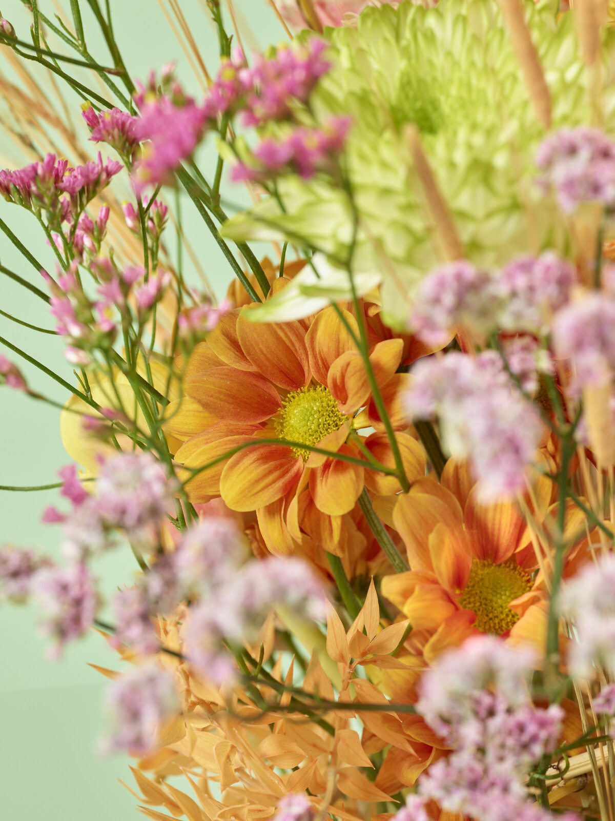 just chrys chryzantemy lookbook 2024 florystyka