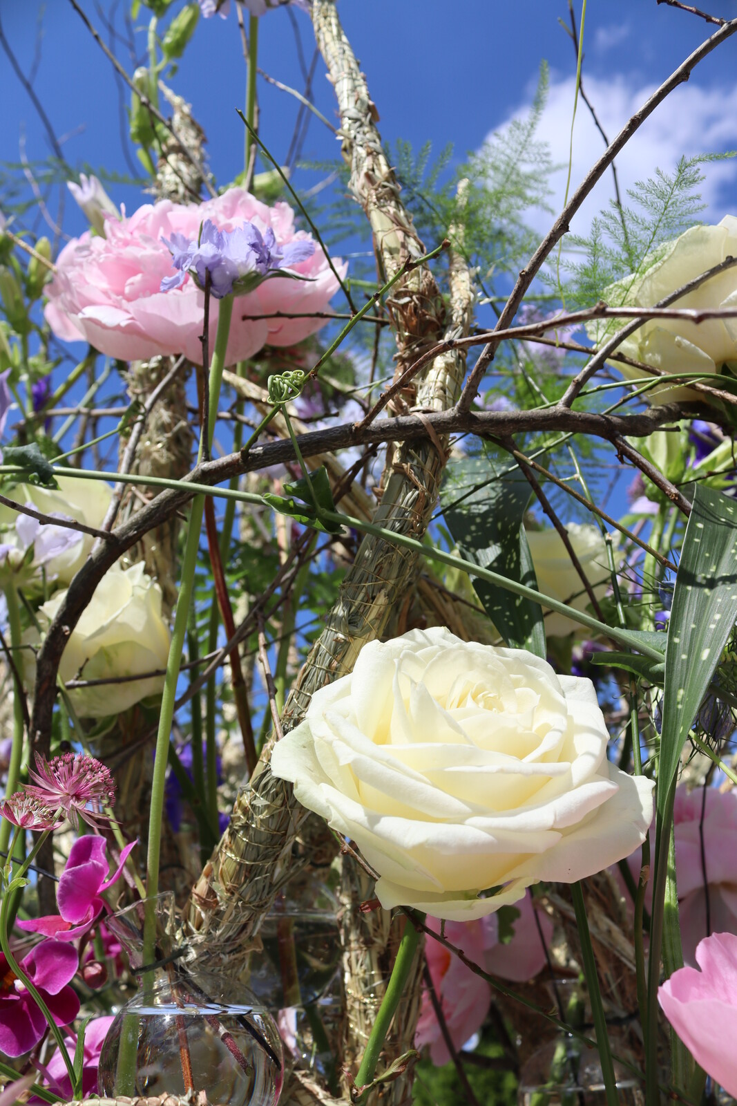 Kongres Stowarzyszenie Florystów Polskich Tomasz Max Kuczyński Avalanche+