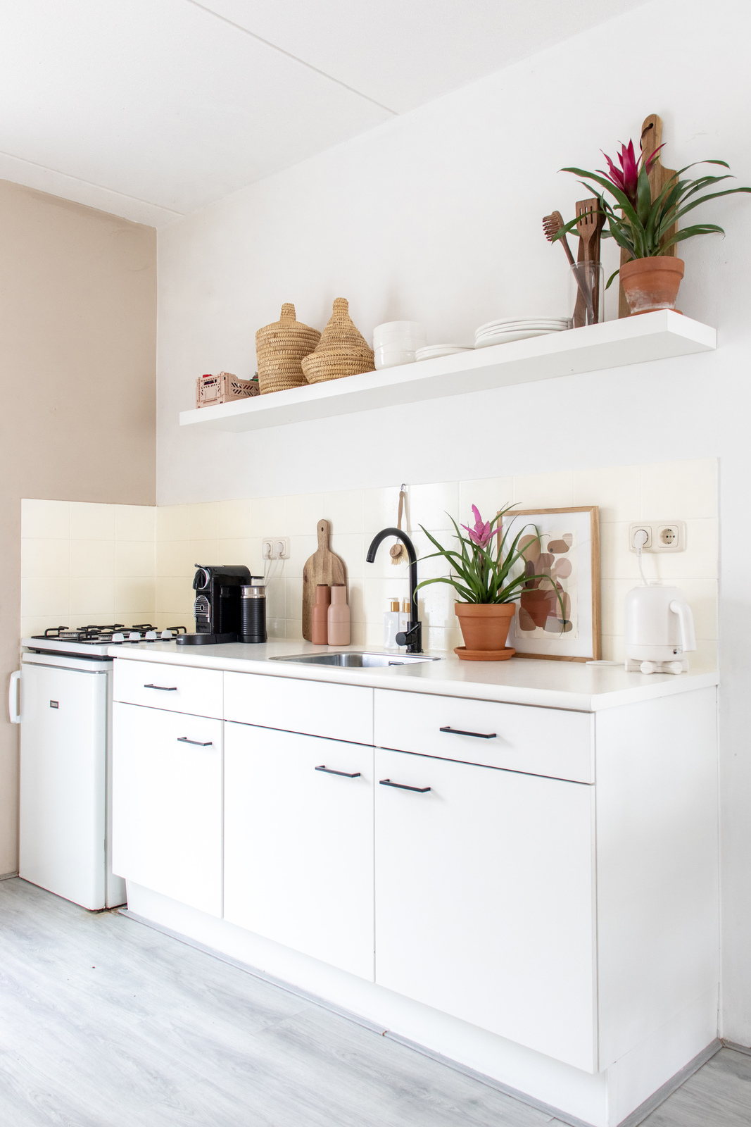 bromelia, rośliny doniczkowe, dom