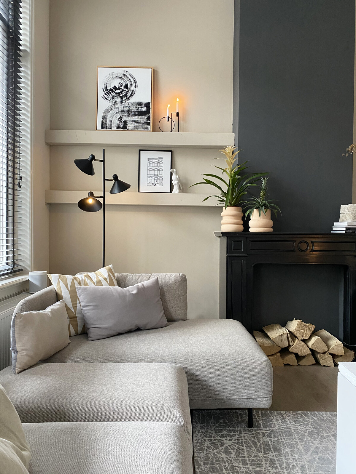 bromelia, rośliny doniczkowe, dom