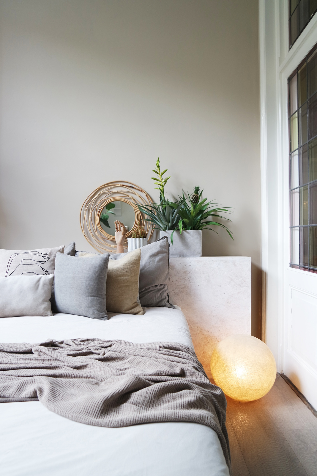 bromelia, rośliny doniczkowe, dom