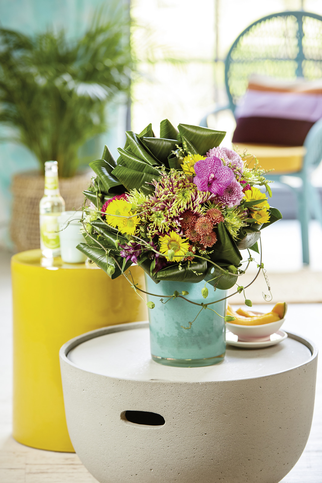 chryzantemy concept factory daily smile trend