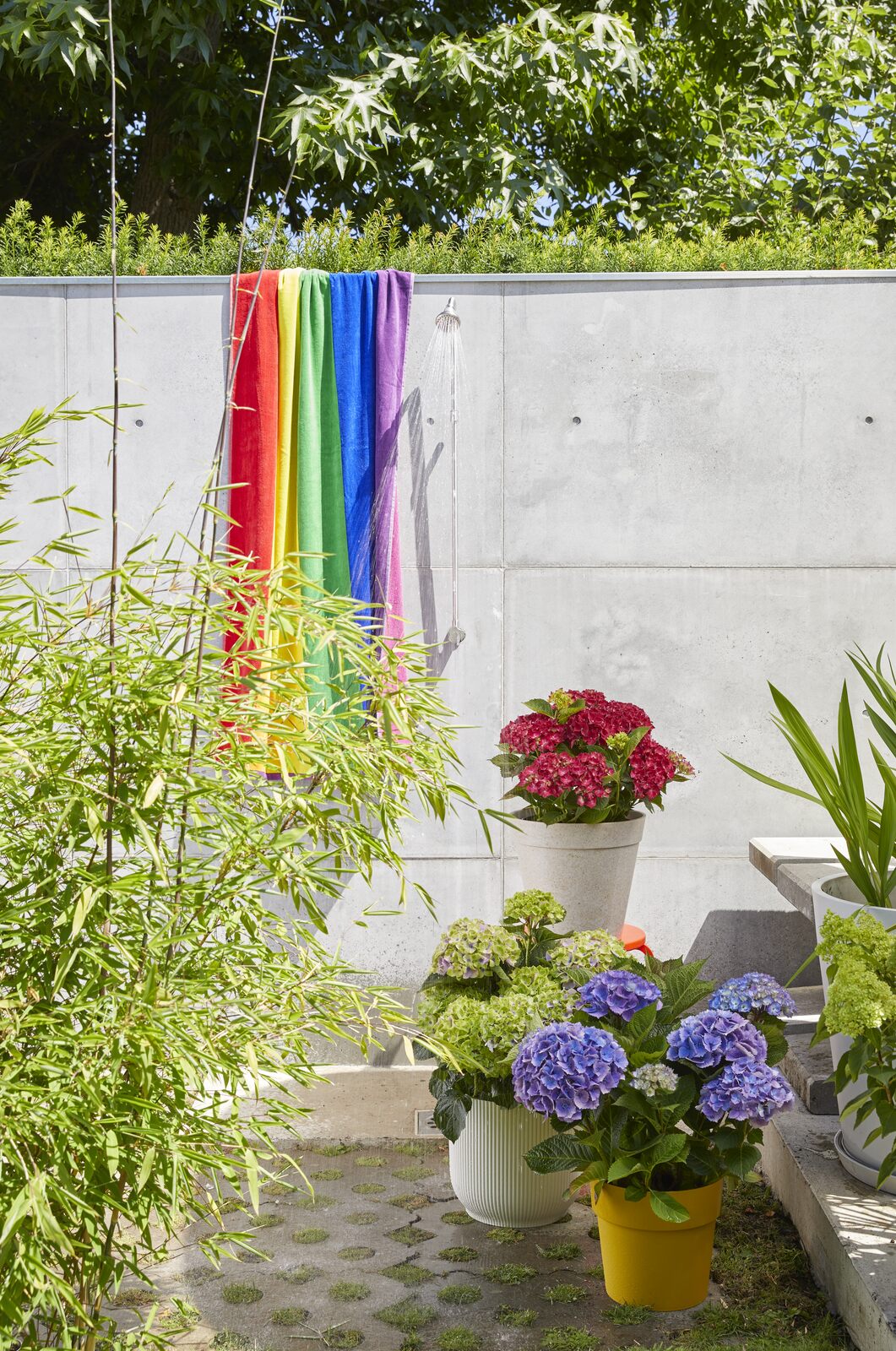 hortensje concept factory daily smile trend