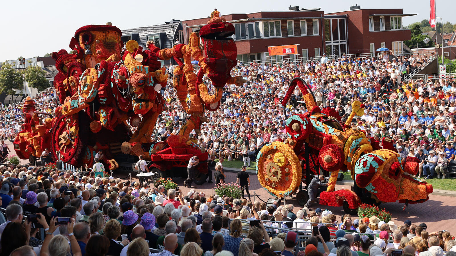 Corso Zundert 2024 parada kwiatów dalie holandia