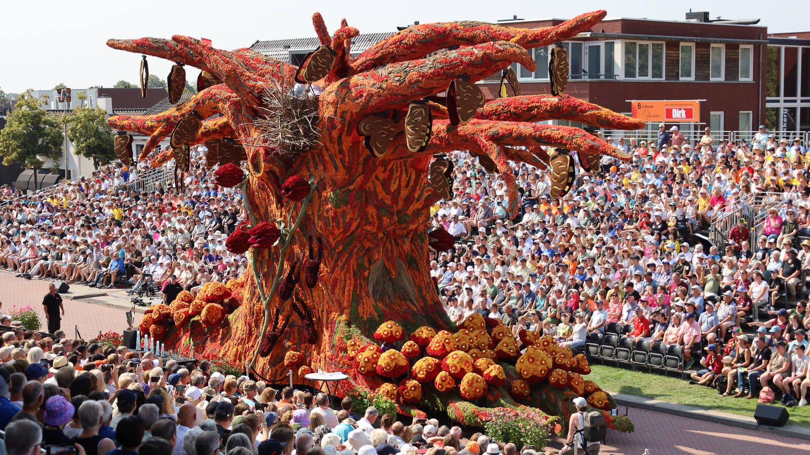 Corso Zundert 2024 parada kwiatów dalie holandia