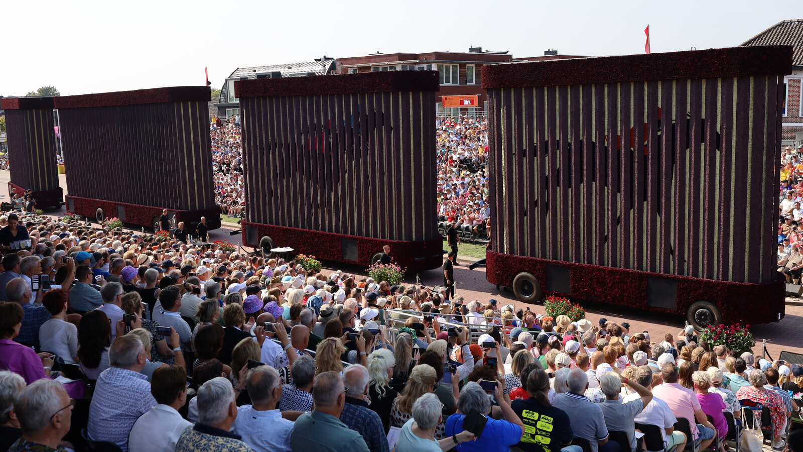 Corso Zundert 2024 parada kwiatów dalie holandia