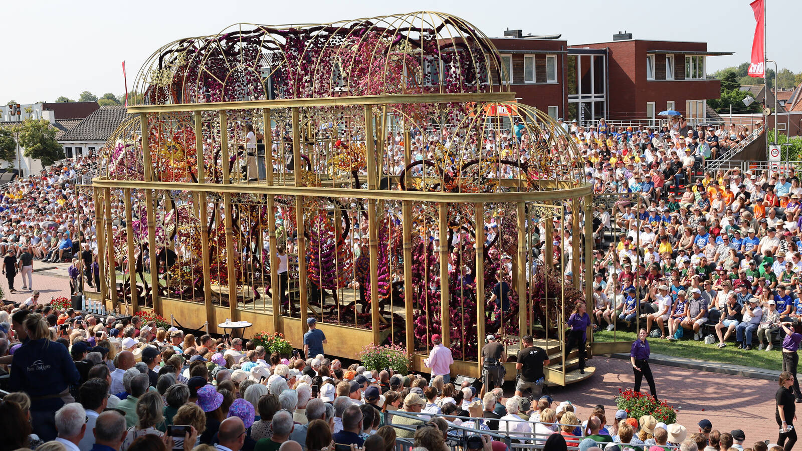 III miejsce Corso Zundert 2024 parada kwiatów dalii