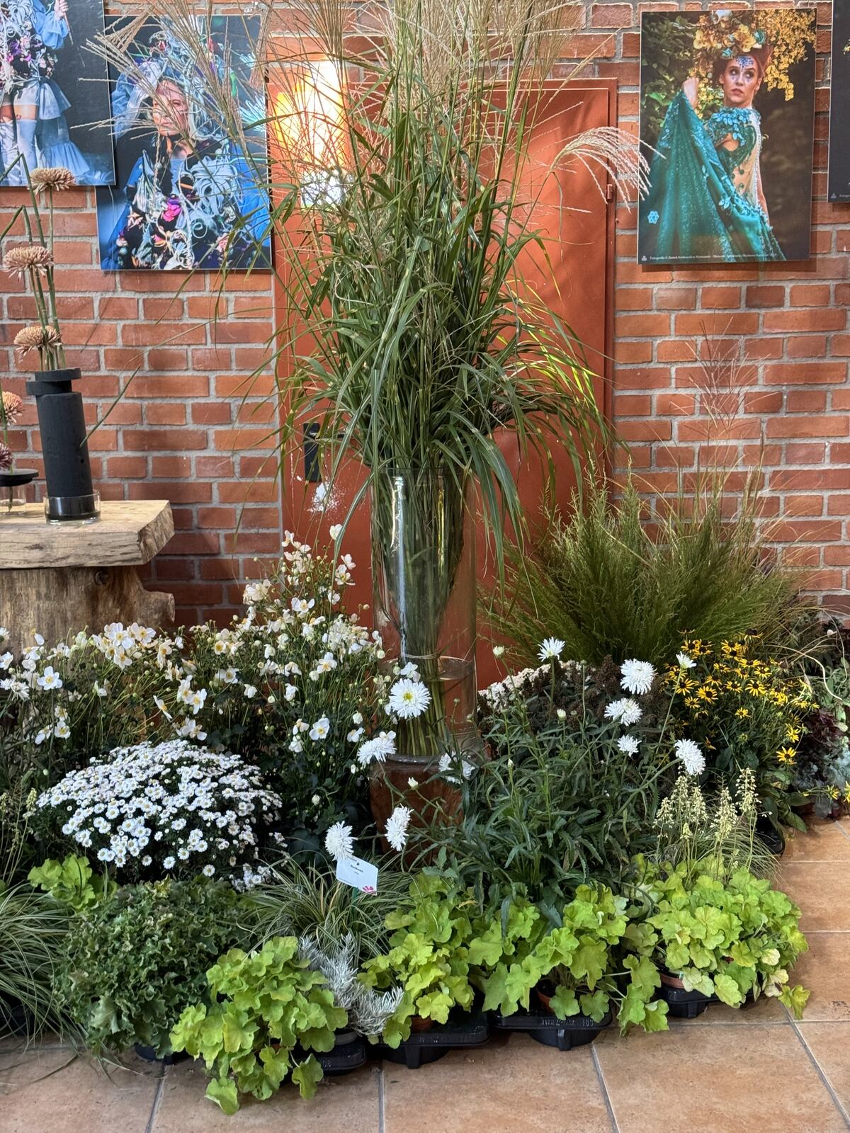 Arboretum Wojsławice XV Festiwal Traw i Kwiatów Jesieni