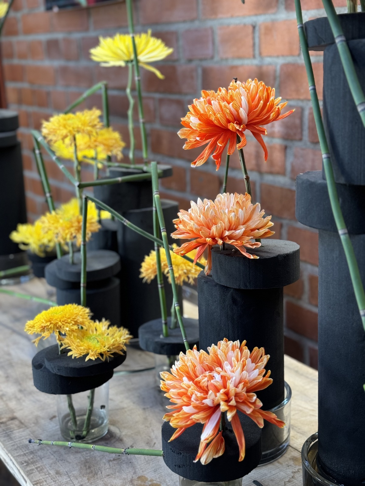 Arboretum Wojsławice XV Festiwal Traw i Kwiatów Jesieni