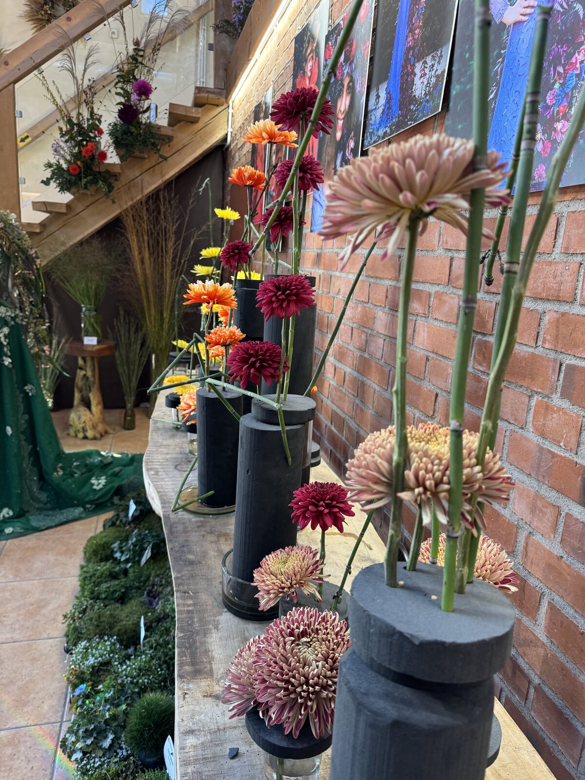 Arboretum Wojsławice XV Festiwal Traw i Kwiatów Jesieni