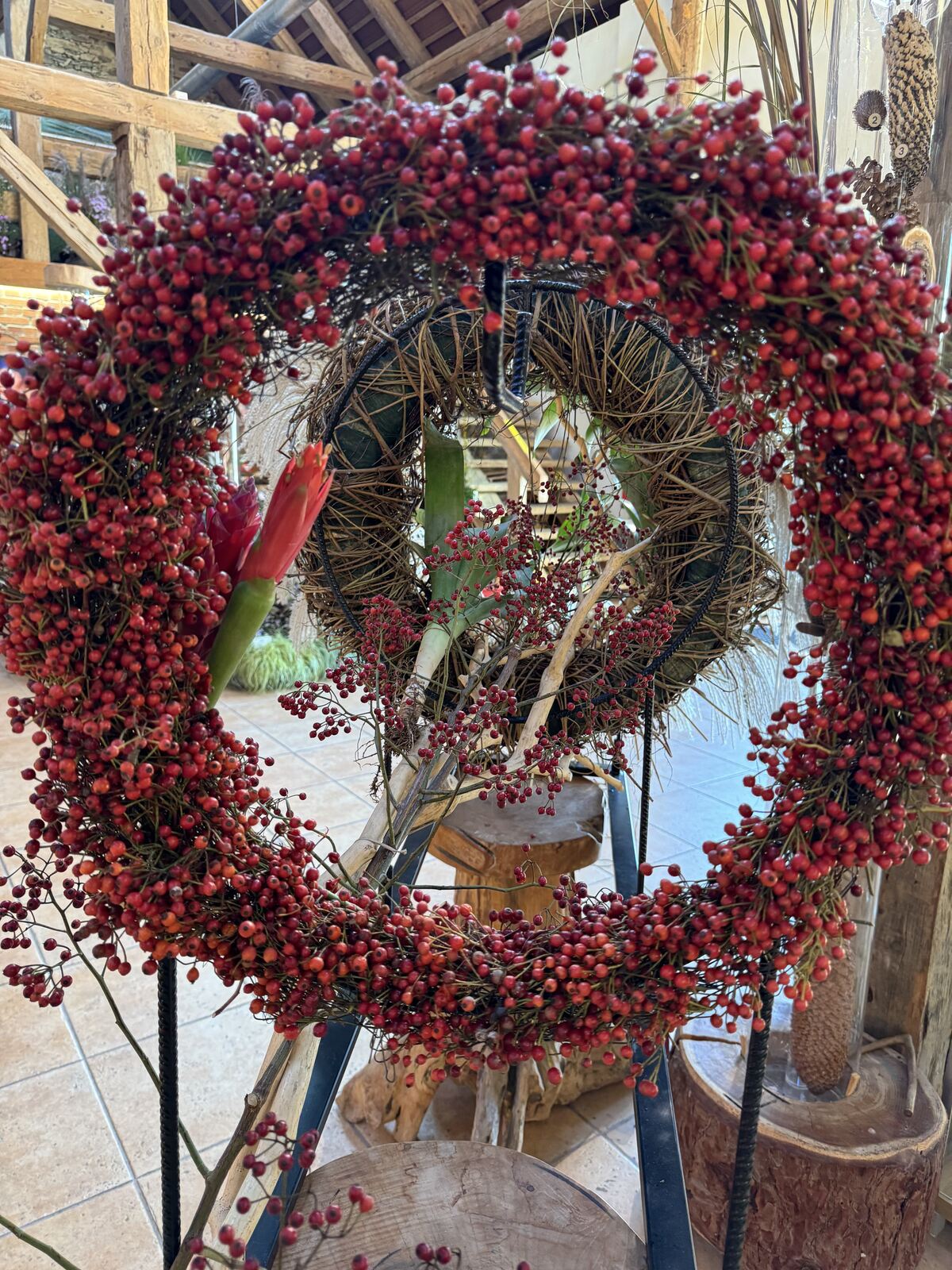 Arboretum Wojsławice XV Festiwal Traw i Kwiatów Jesieni