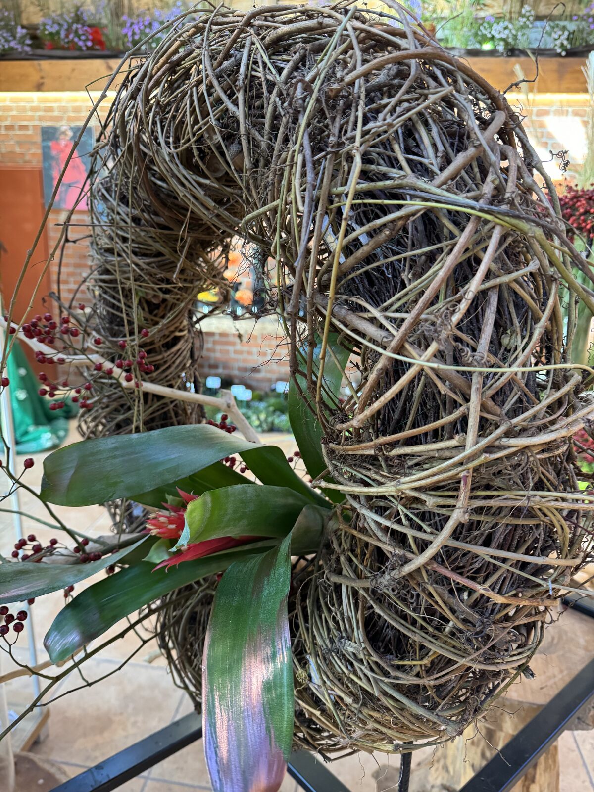 Arboretum Wojsławice XV Festiwal Traw i Kwiatów Jesieni