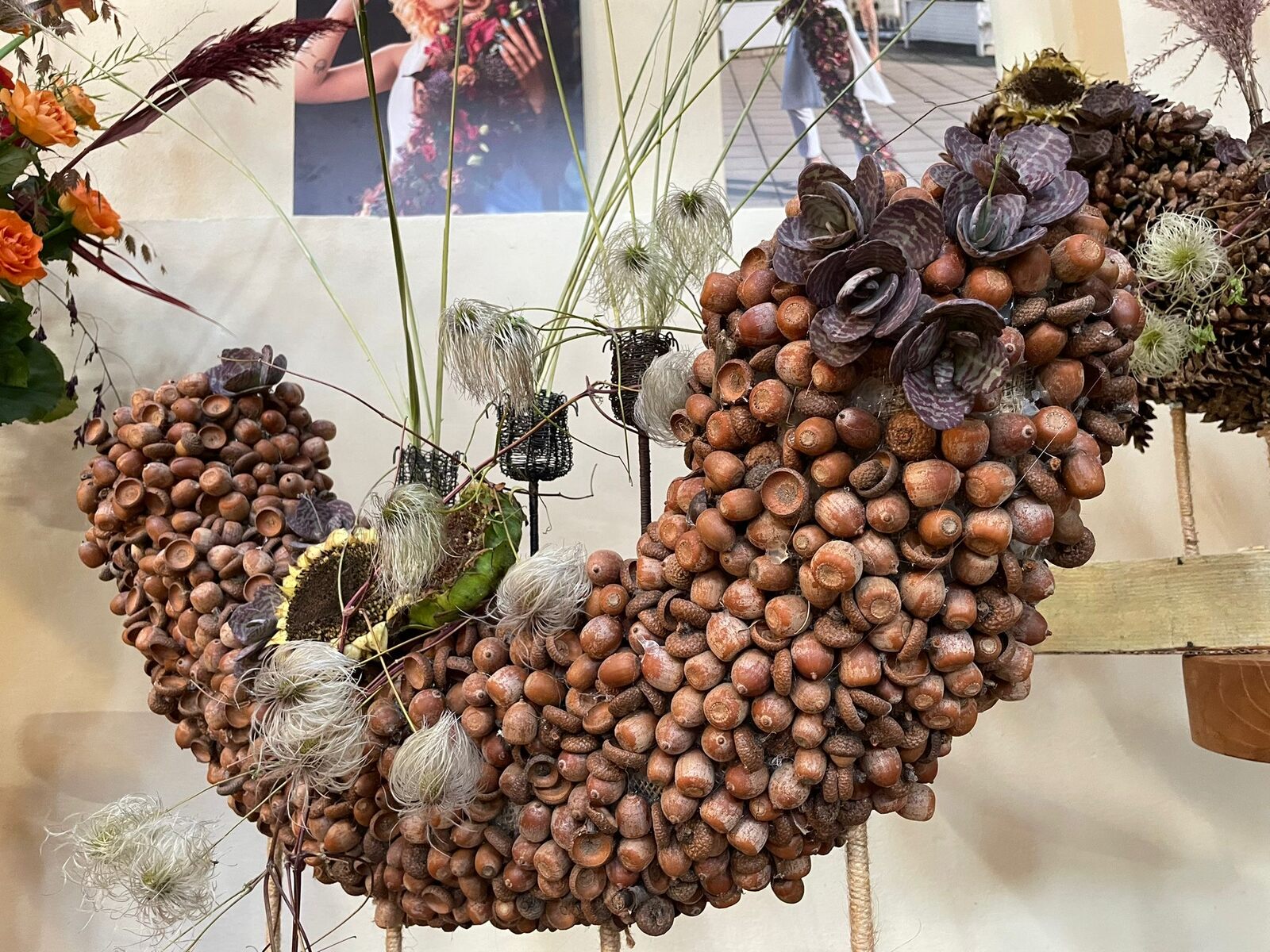 Arboretum Wojsławice XV Festiwal Traw i Kwiatów Jesieni