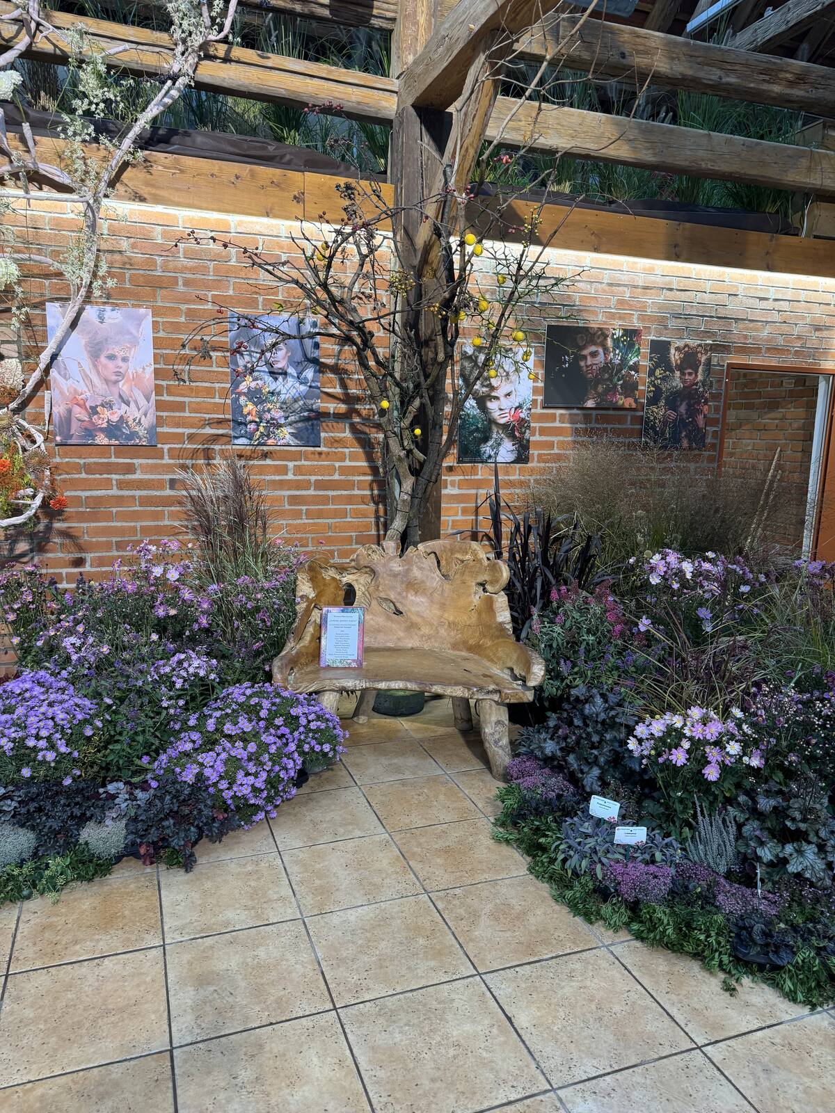 Arboretum Wojsławice XV Festiwal Traw i Kwiatów Jesieni