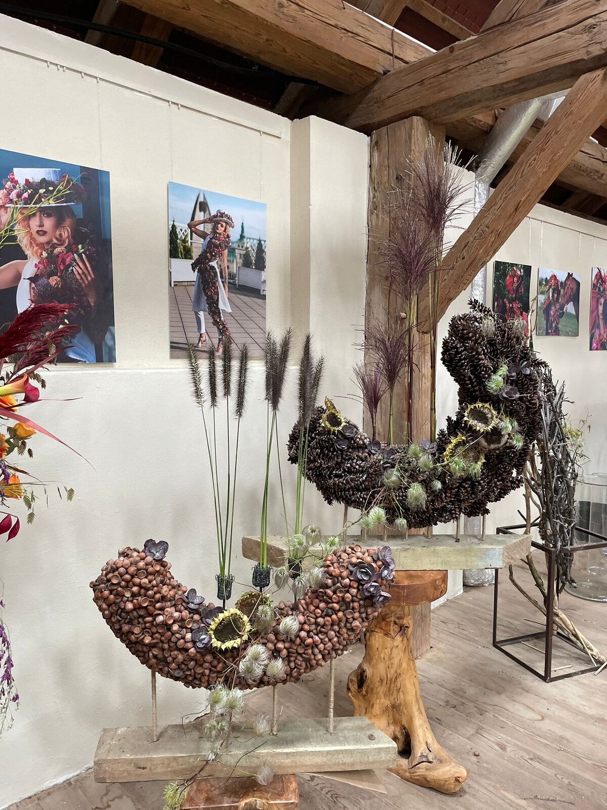 Arboretum Wojsławice XV Festiwal Traw i Kwiatów Jesieni