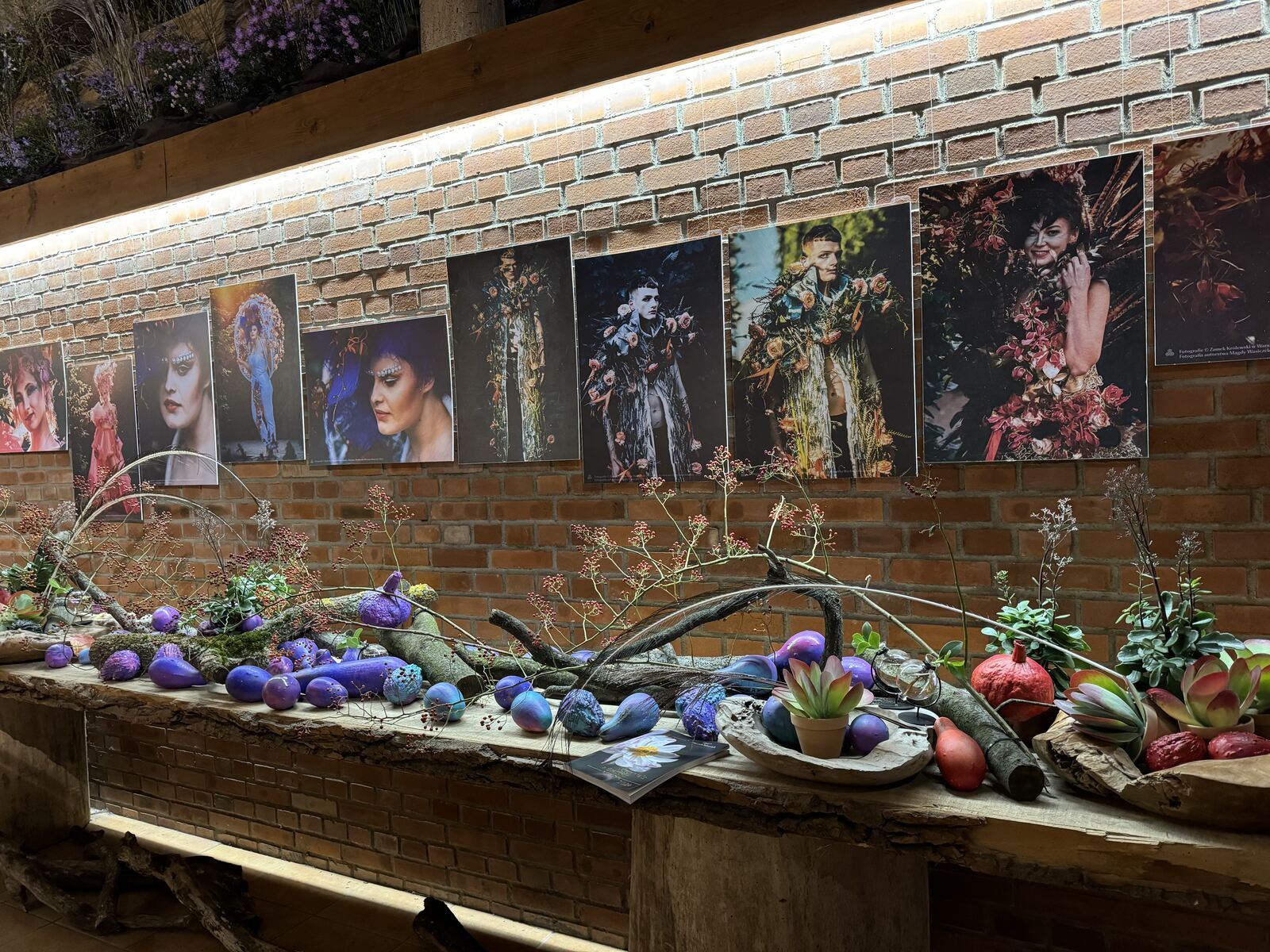 Arboretum Wojsławice XV Festiwal Traw i Kwiatów Jesieni