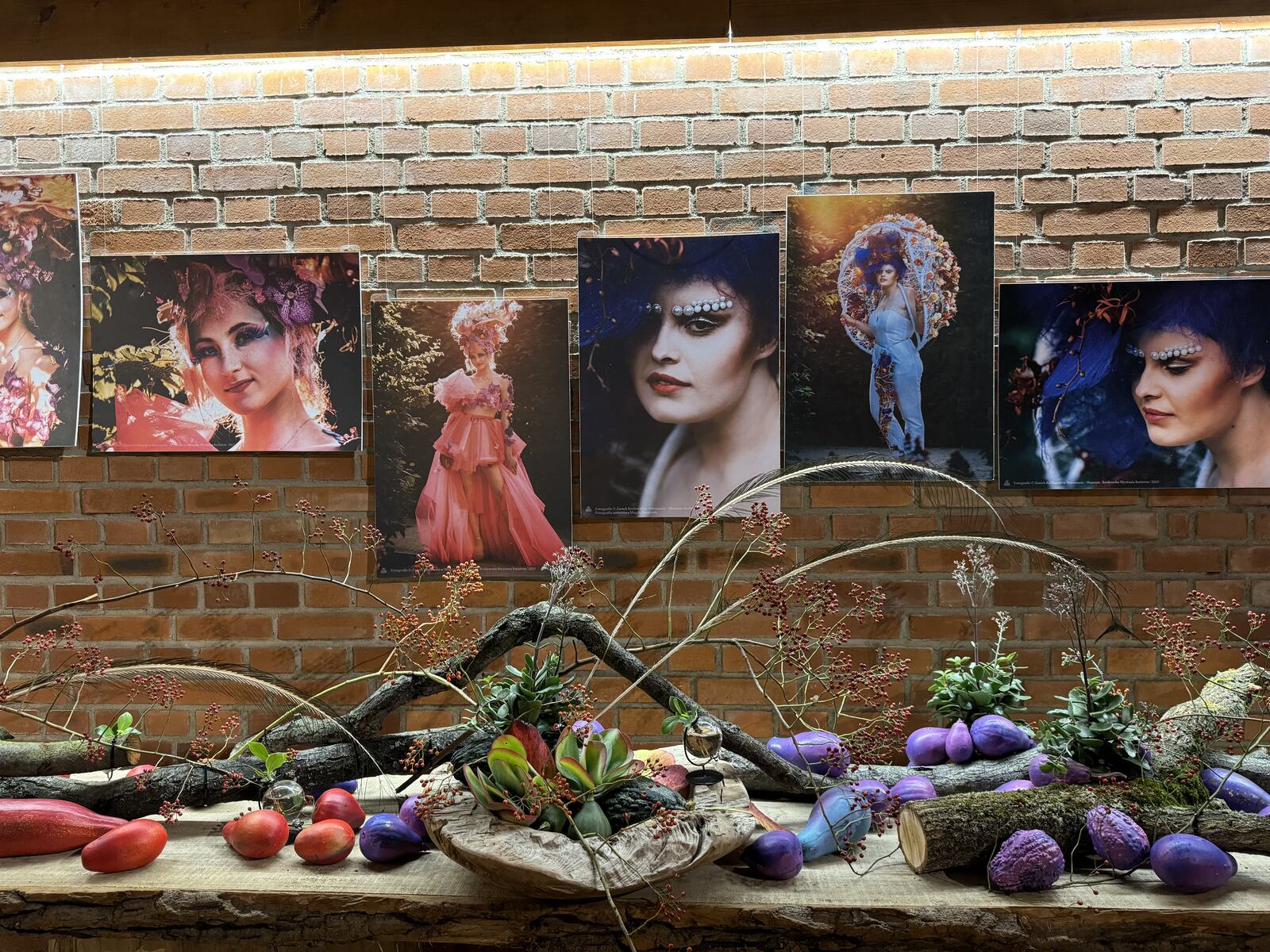 Arboretum Wojsławice XV Festiwal Traw i Kwiatów Jesieni