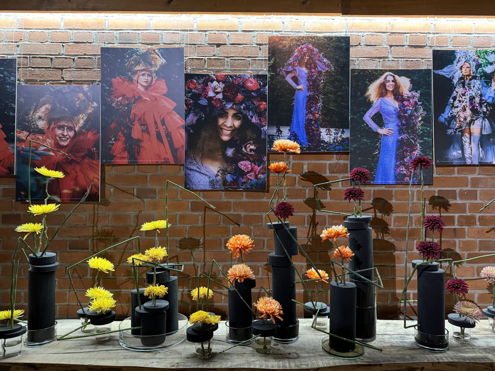 Arboretum Wojsławice XV Festiwal Traw i Kwiatów Jesieni