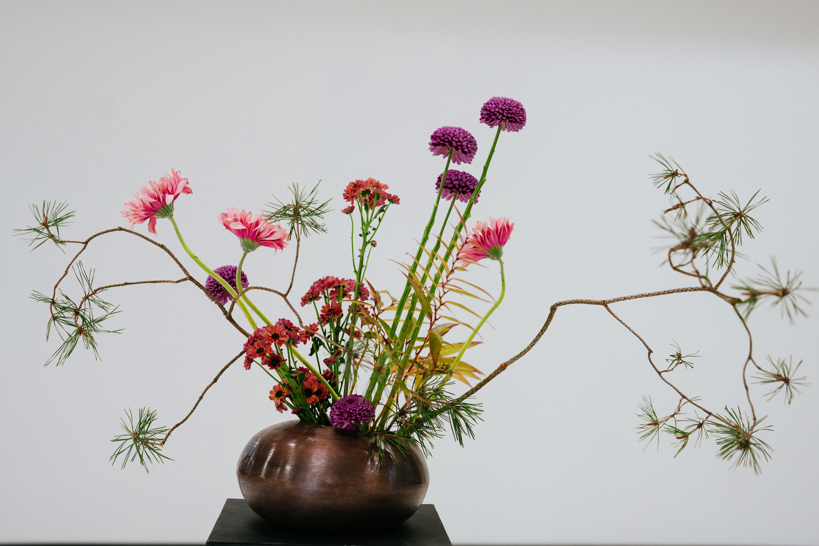 moment zachwytu florysta roku 2024