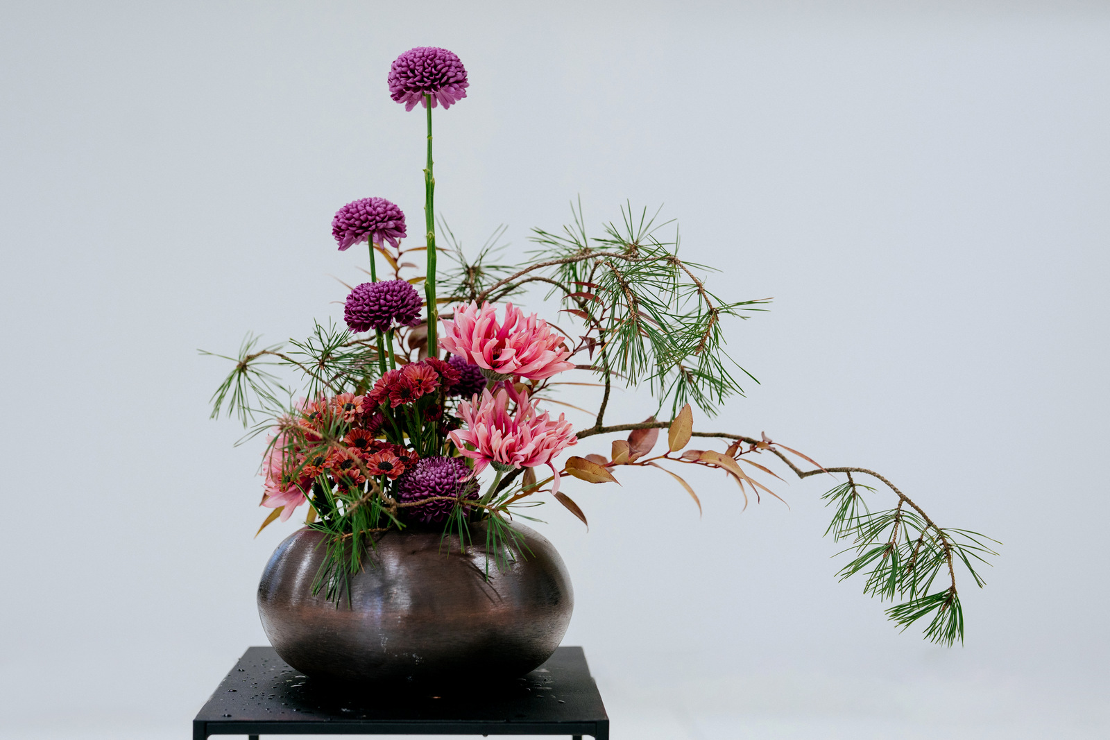 moment zachwytu florysta roku 2024