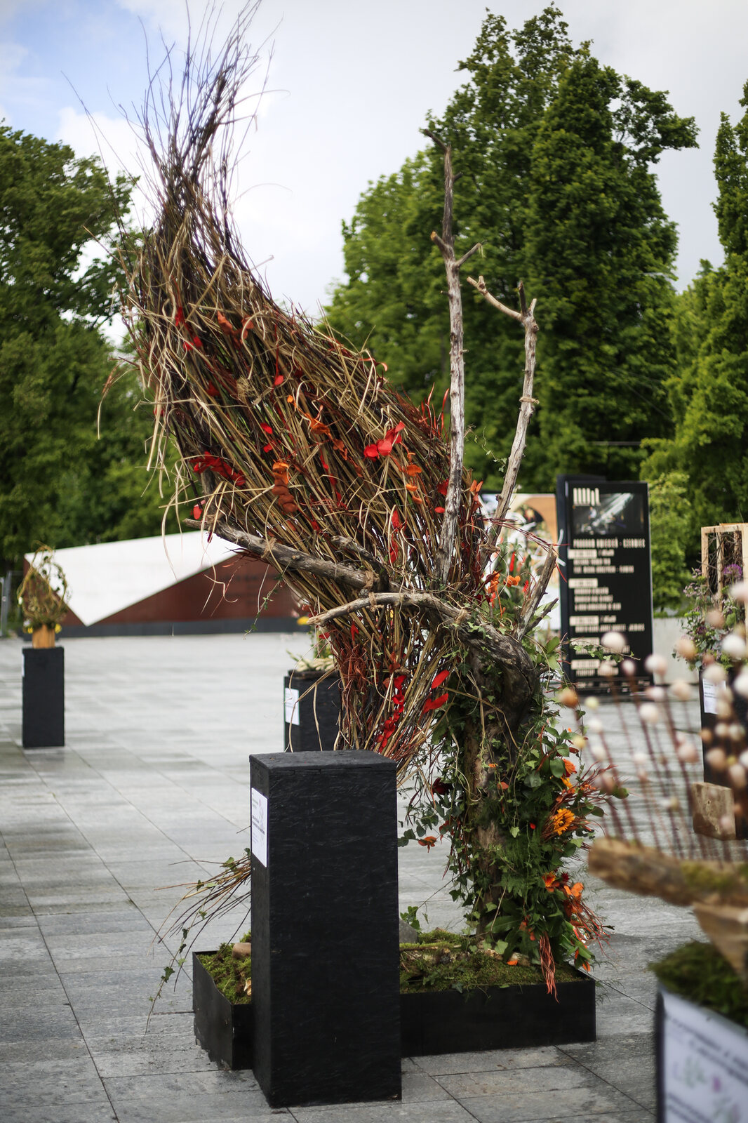 weekend z florystyką lublin paweł totoro adamiec lublin
