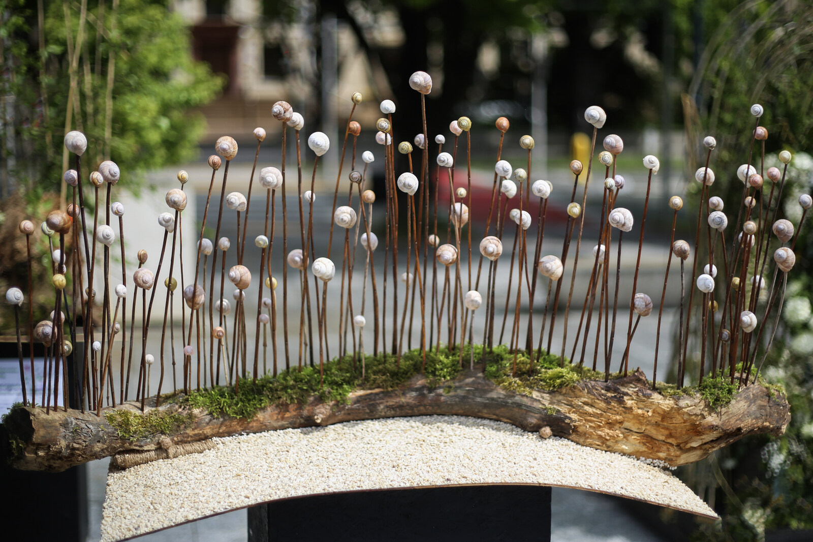 weekend z florystyką lublin paweł totoro adamiec lublin