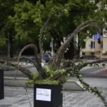 weekend z florystyką lublin paweł totoro adamiec lublin