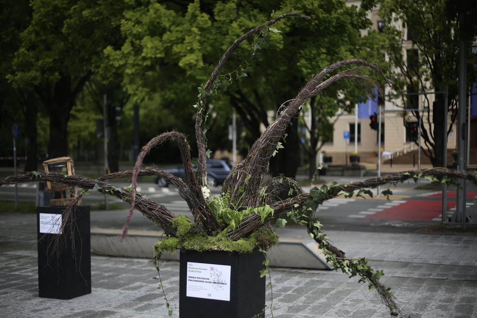 weekend z florystyką lublin paweł totoro adamiec lublin