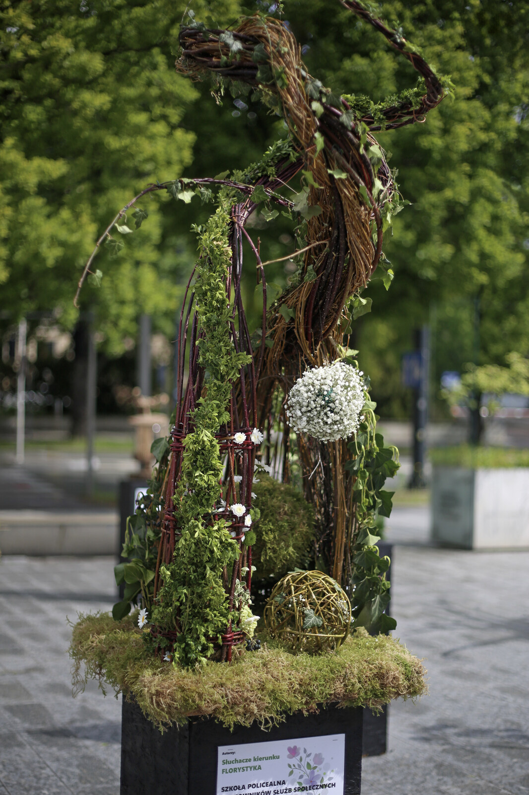 weekend z florystyką lublin paweł totoro adamiec lublin