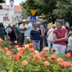 Festiwal róż łask