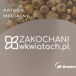 Pokaz Florystyczny „Kompozycje na Czas Świąt” [NASZ PATRONAT]