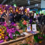 Myplant & Garden - dialog pomiędzy naturą a designem