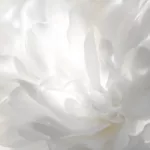 Emocje ukryte w najdelikatniejszych odcieniach Emocje ukryte w najdelikatniejszych odcieniach