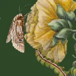 "Świat jak zielnik. Natura w sztuce od XVII do XXI wieku" "Świat jak zielnik. Natura w sztuce od XVII do XXI wieku"